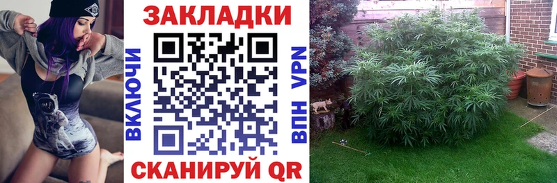 Наркошоп купить СОЛЬ  Канабис  Мефедрон  Гашиш  Инза