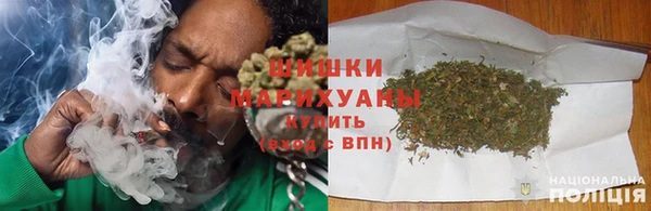PSILOCYBIN Новокубанск