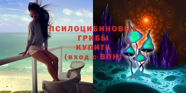мяу мяу мука Новозыбков
