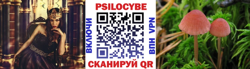Купить  Инза  Псилоцибиновые грибы Psilocybe 